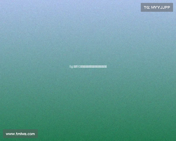 5g 游戏5G赋能电竞：畅快激战开启移动竞技新纪元