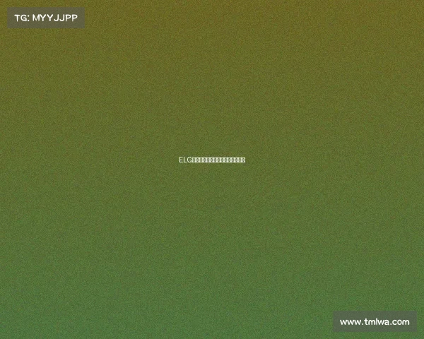 ELG战队蓄势待发，全新征程即将启幕