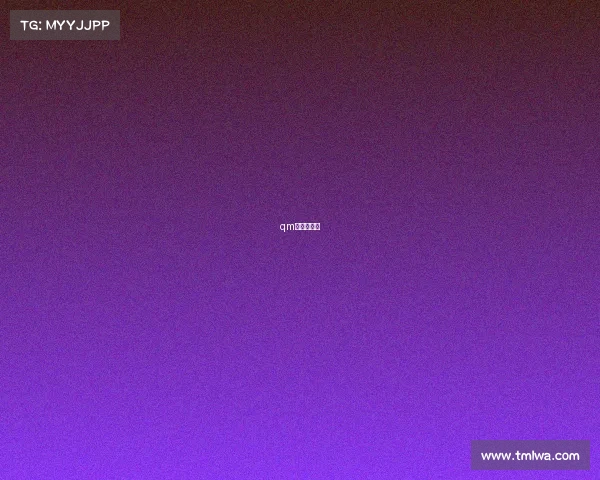 qm是什么职业 qm是什么职业