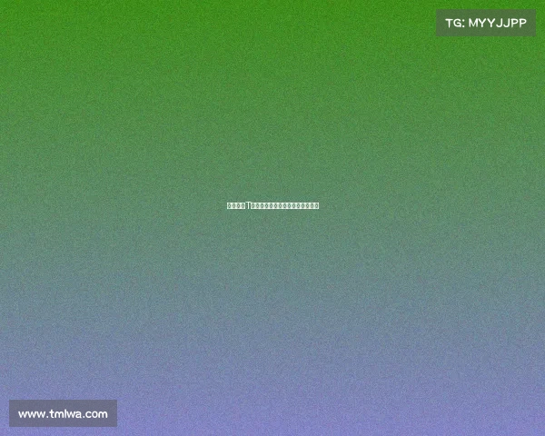 《战队潮T新风尚:解锁你的热血电竞穿搭》 《战队潮T新风尚:解锁你的热血电竞穿搭》