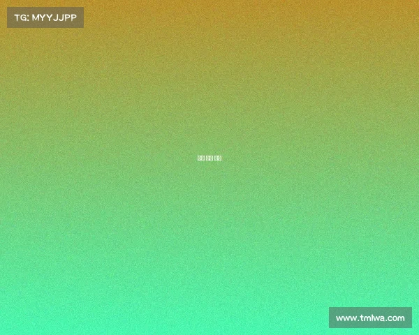 复星 狼队 投资